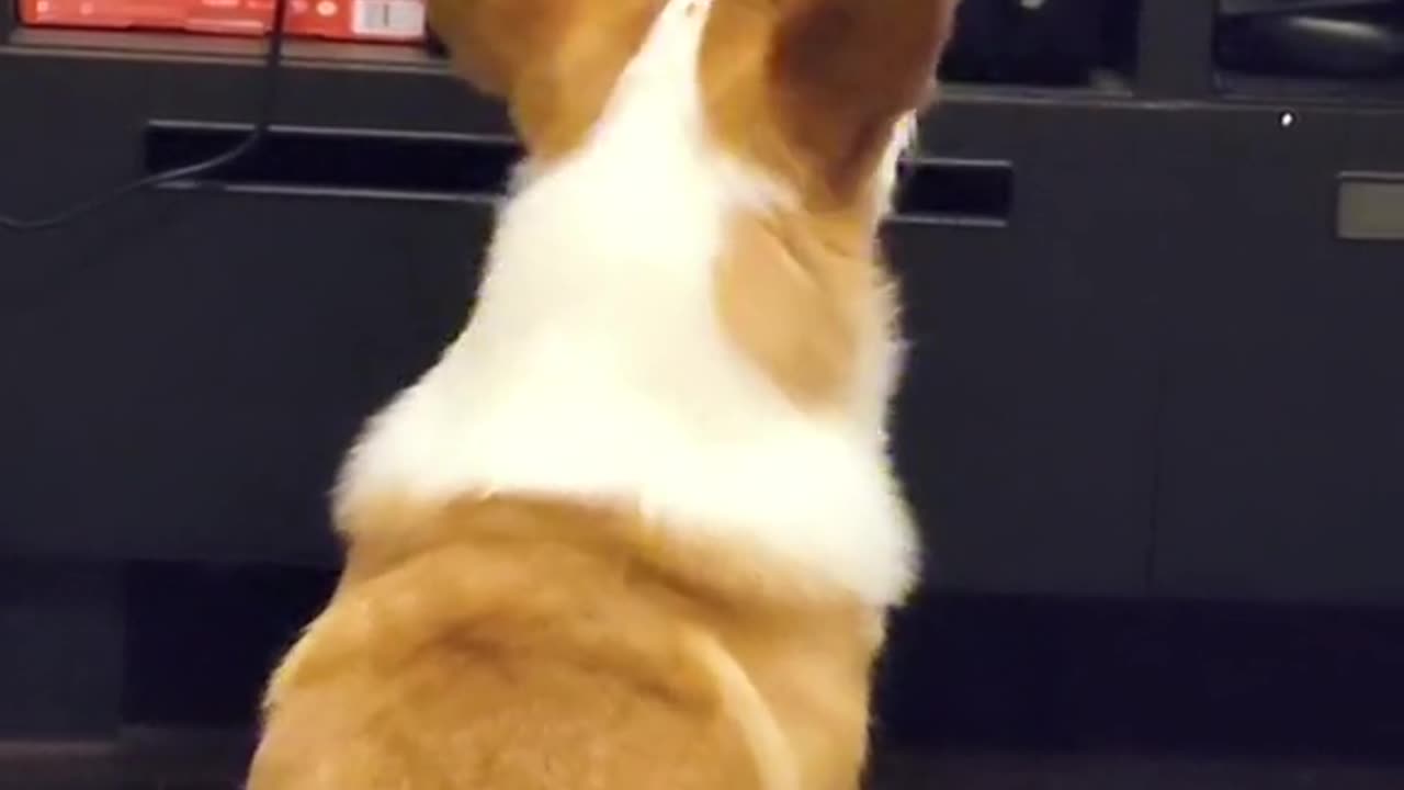 Name a more adorable way to watch TV!