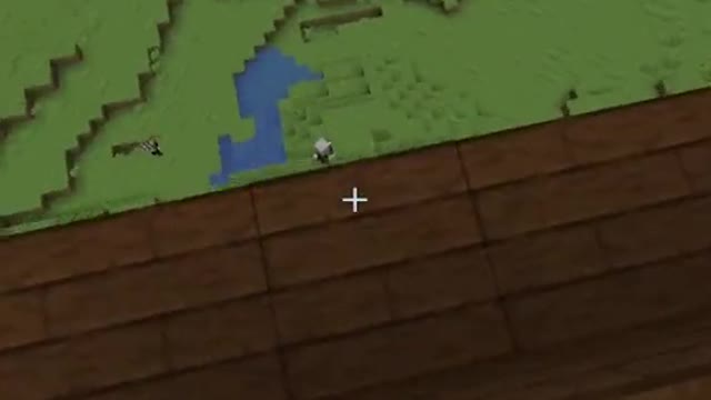 minecraft, but i FACE REVEAL 😳