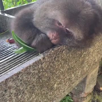 peaceful... serene... 😍😍😍