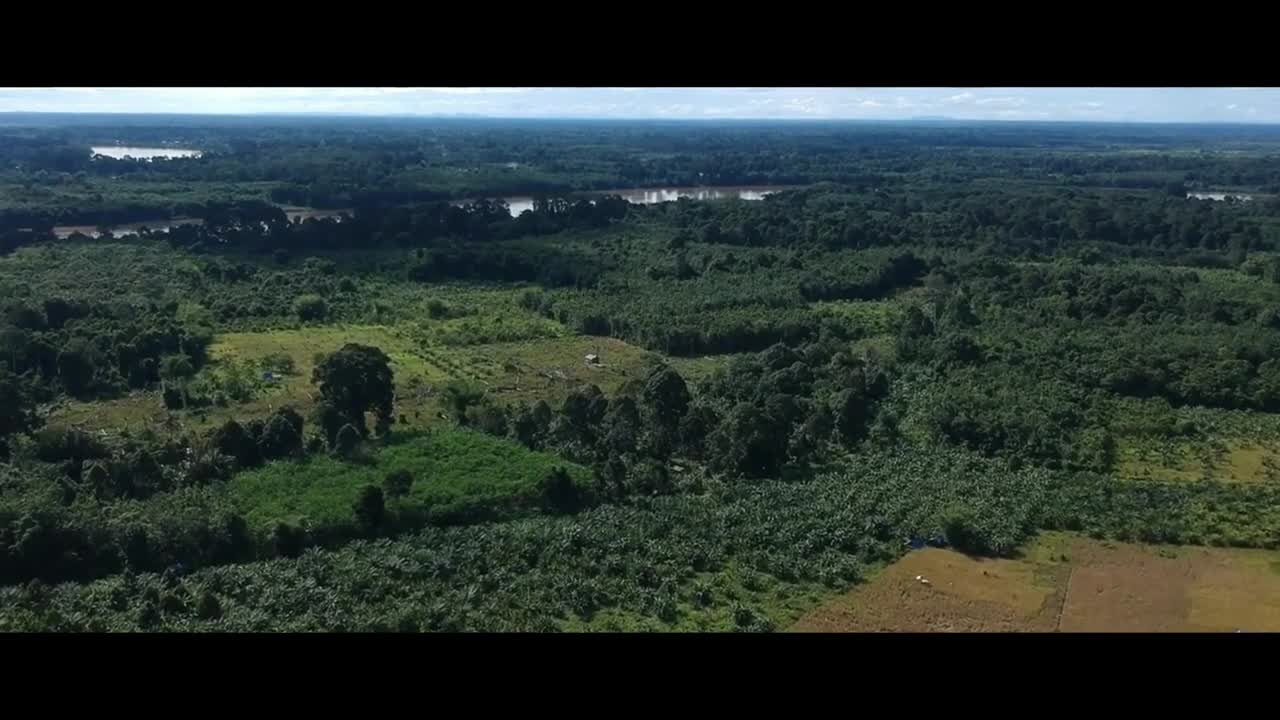 Brunei Darussalam Is The Magnificent of Borneo