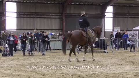 Guy Robertson and 'Blaze' at the British Pet Show - Ardingly,