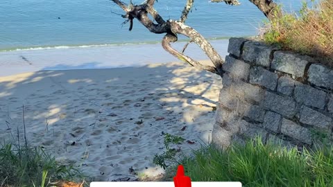 1/19 - Praia do Fayet: O destino perfeito para relaxar em Governador Celso Ramos