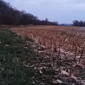 Psalm 14 Message Bible (imposters)