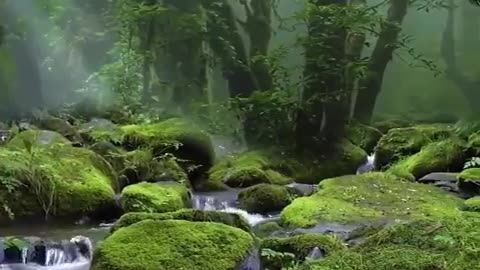 Beauty of Nature