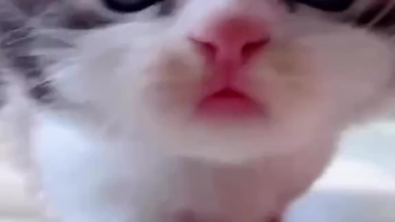 Wait for me