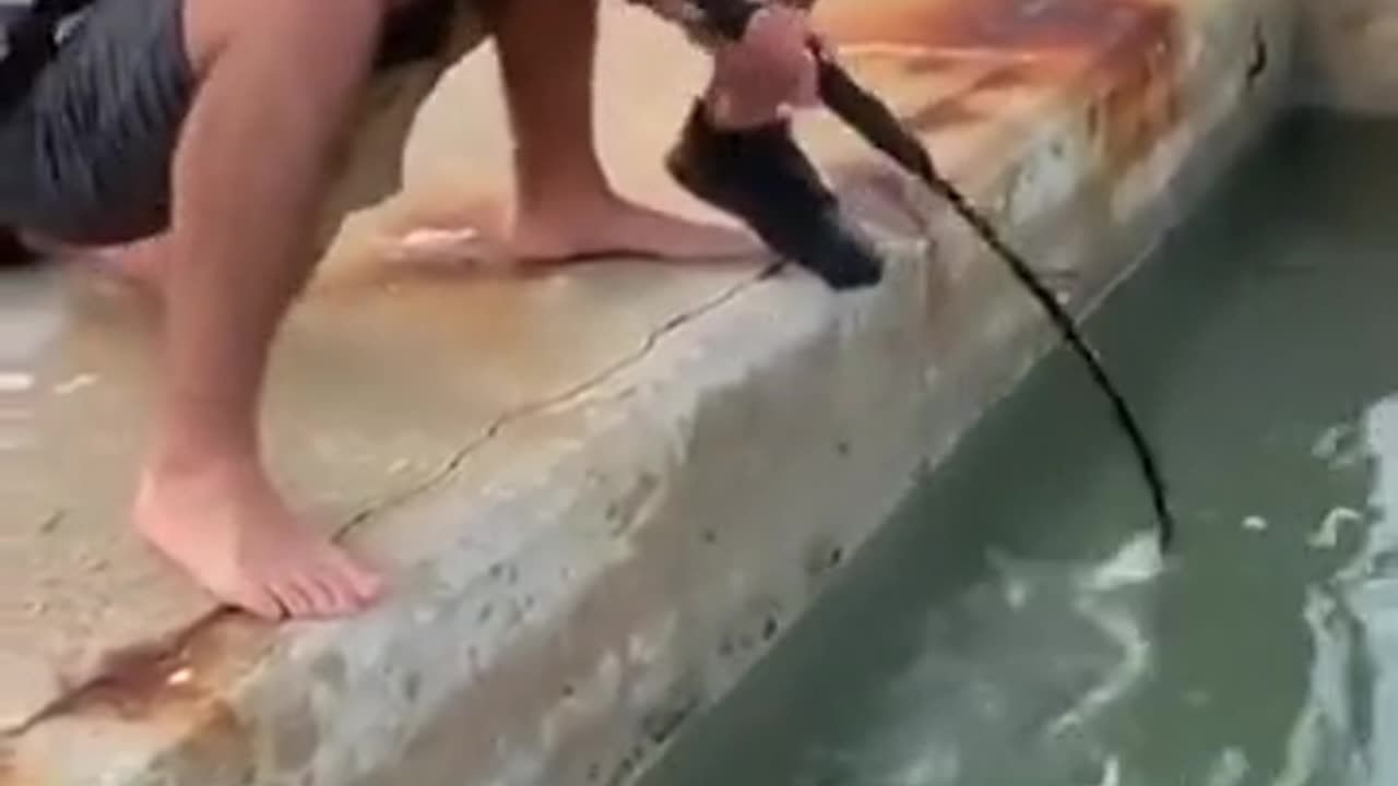 Great fight with a fish