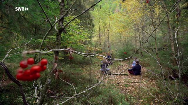 Rauhnächte: Wilde Jagd und stille Zeit Doku (2021)