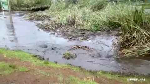 10 Minutes of Incredible Whirlpool Videos