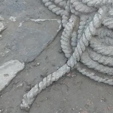 Petrified civilization