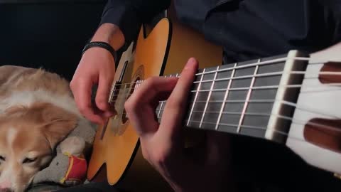 The Last Of Us Fingerstyle Guitar Main Theme