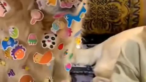 Funny animals compilation 2024🐈_ Try not to laughing🤣‖ #shorts #funny animals ‖ Fun Store