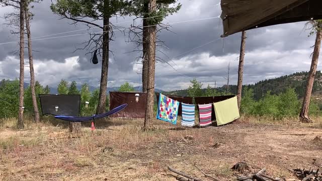 Poison Ivy, Colorado and the Hail