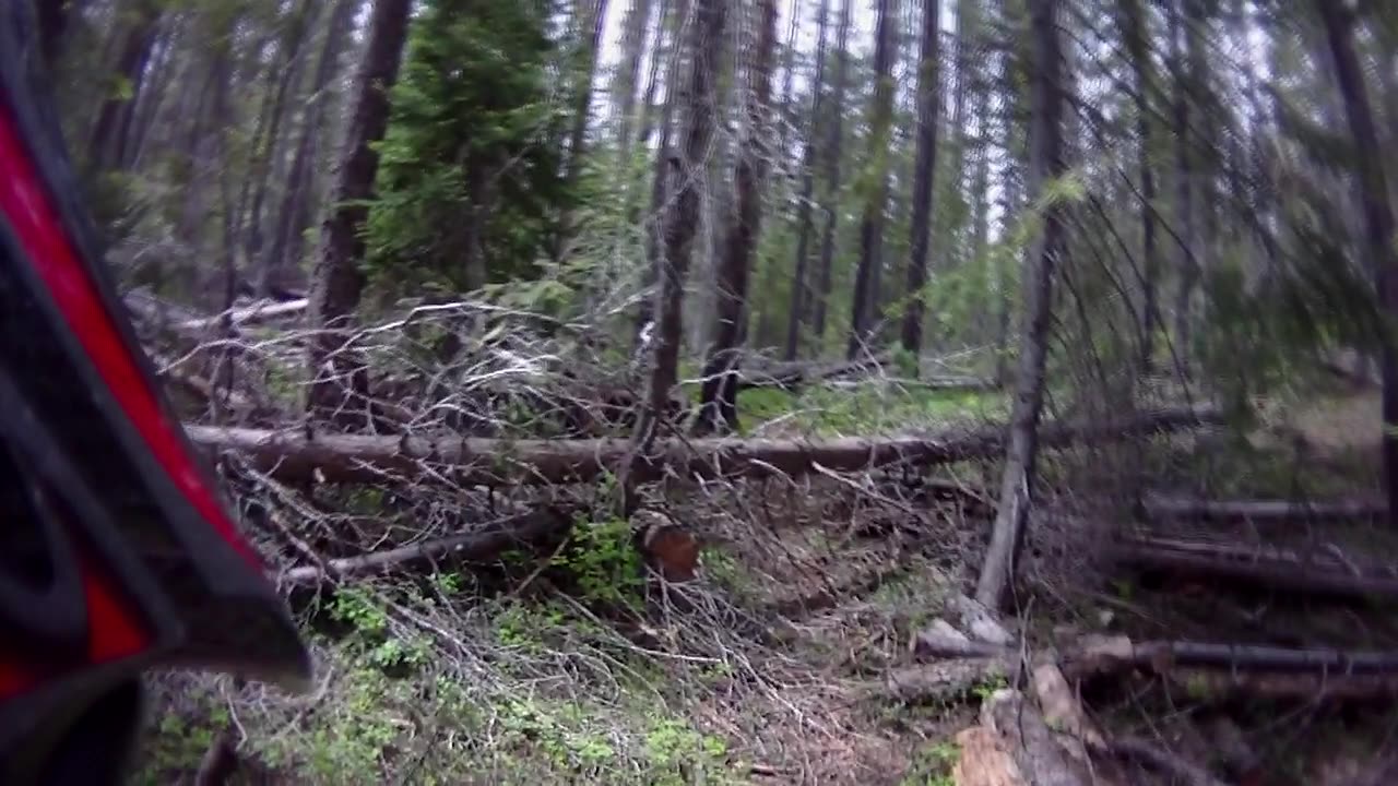 Afternoon casual ride and trail work