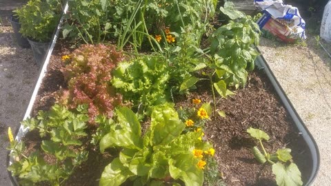 2022 Community Garden Plots