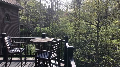 May 2, 2022 - A Gorgeous Monday Morning