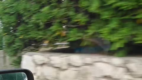 Driving in Krk Island Croatia with a BMW 520i Touring engine M52TU