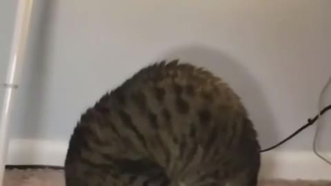 🇩🇪🇩🇪🇩🇪 Guten Morgen! Ich wünsche Ihnen einen schönen Arbeitstag