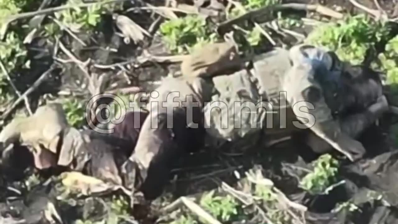 Drone Bomber Attacks AFU Personnel