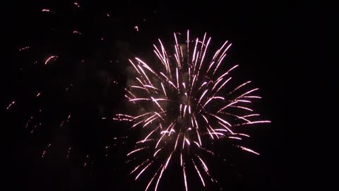 Happy New Year! (Fireworks Display)