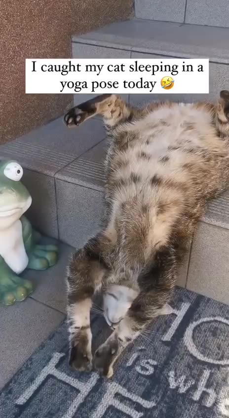 When you have mucho siestas 🤣🤣