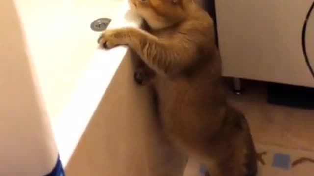 working out