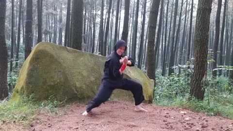 Indonesian martial arts