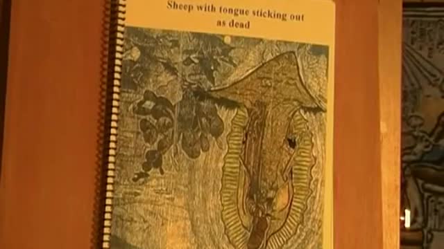 Just A Messenger Part 6