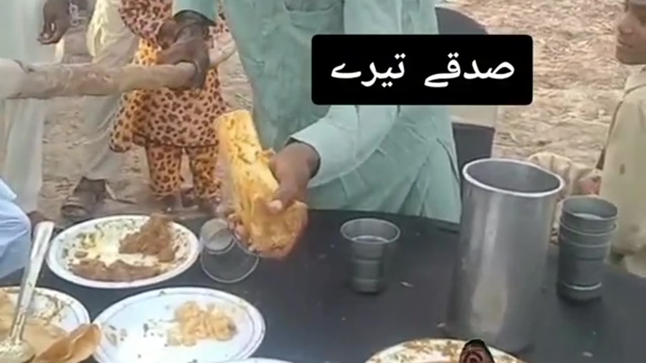 Amazing videos funny video available here from Pakistan