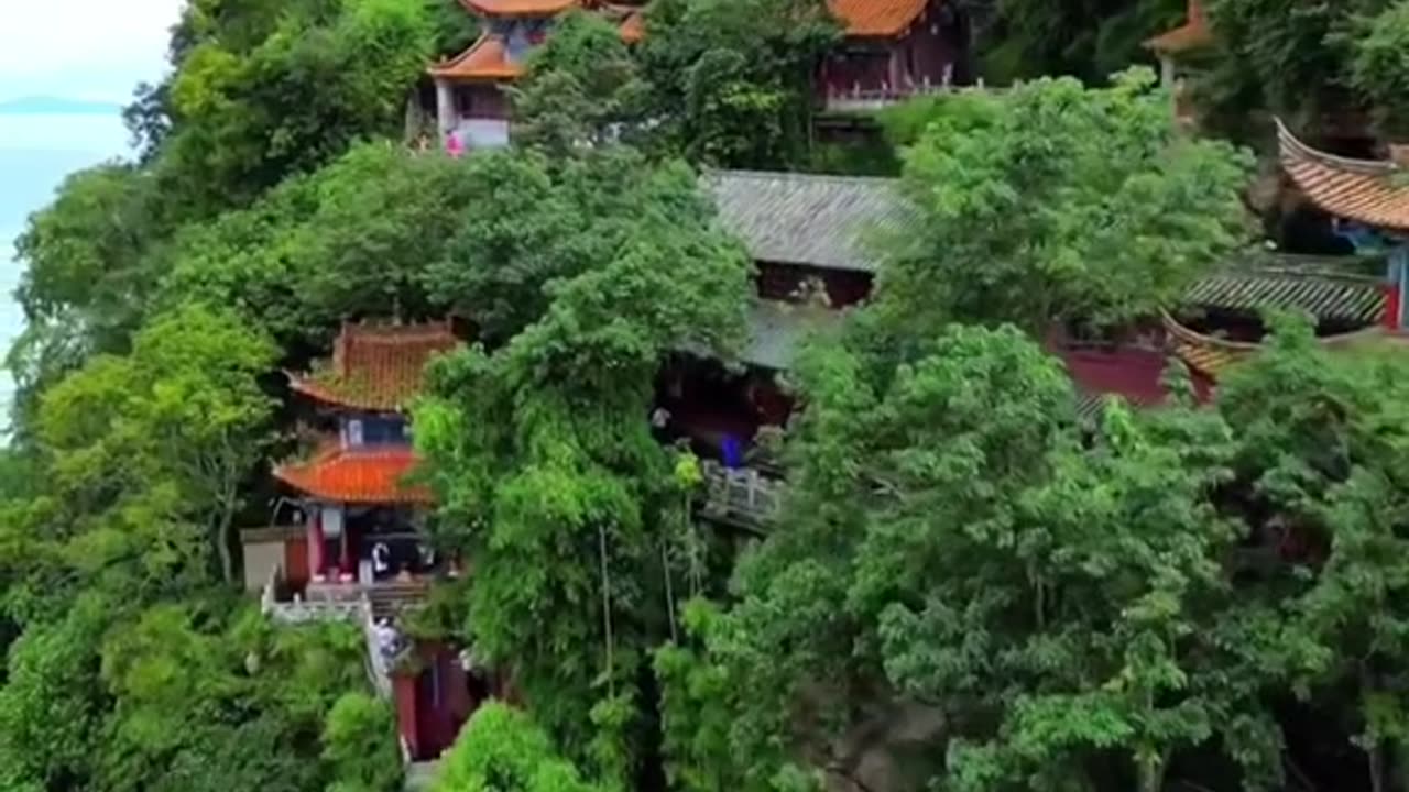 Nature video