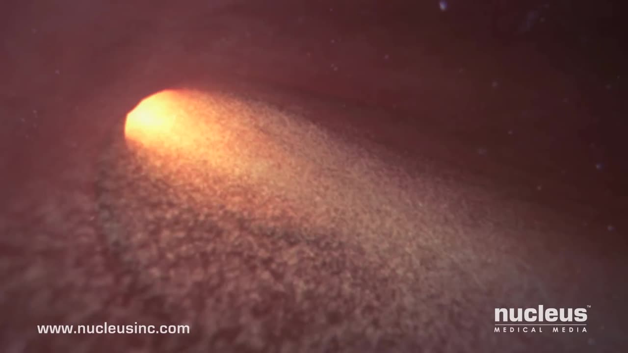 Fertilization process How Sperm react with Eggs