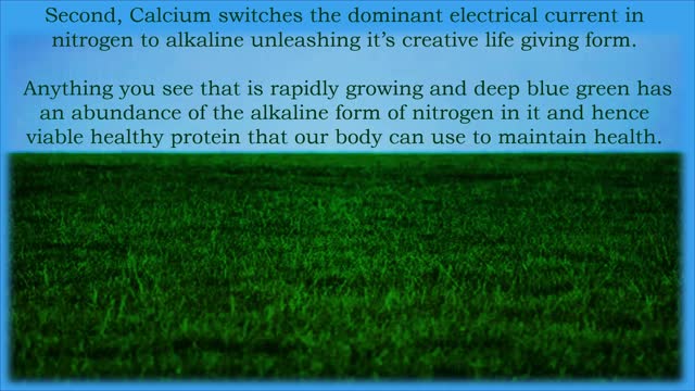 Nutrient Density a Discussion