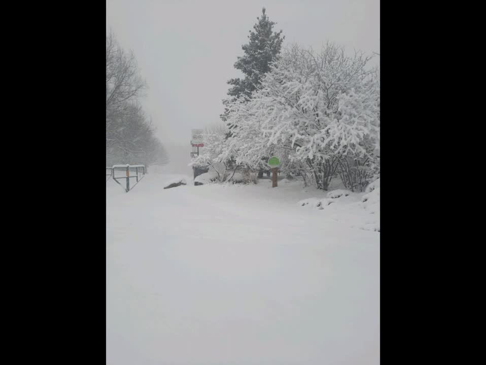 Snow Storm, Ontario2