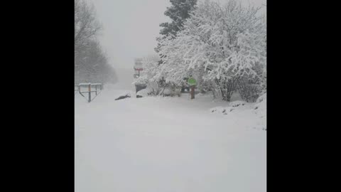 Snow Storm, Ontario2