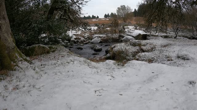 Riverside in the snow 14th Dec 2022