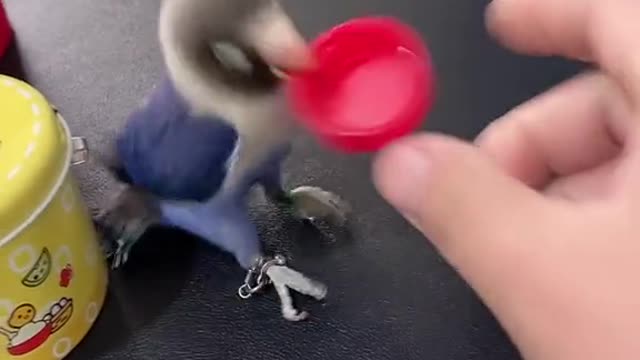 pintar bangat sih ,cara ngajarnya gimana ?