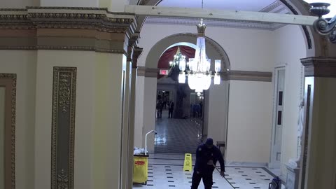 0259USCH02StatuaryHallConnector_2021-01-06_20h14min25s093ms.mp4