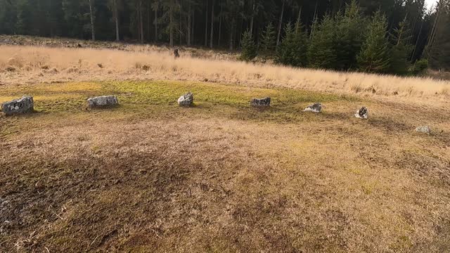 Ancient stone circle. Dartmoor. GoPro