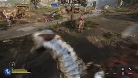 “These horses are kind of stupid” 🐴