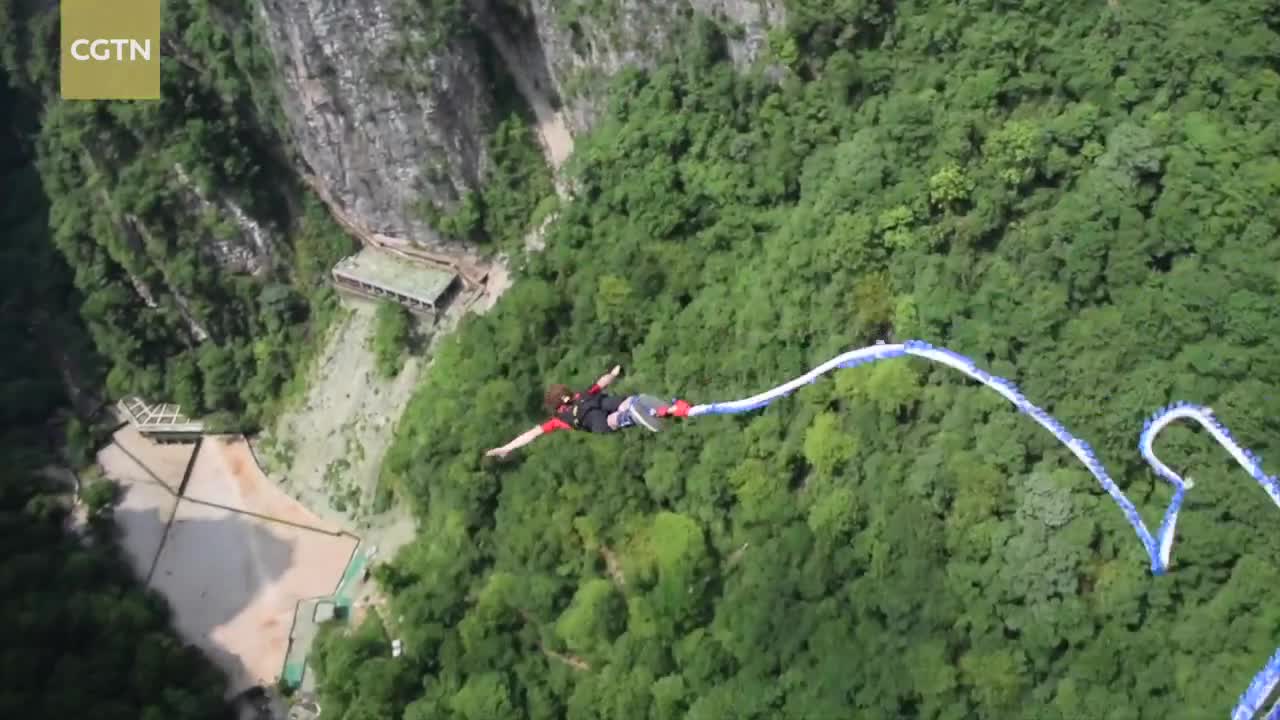 Do you dare to go on the world's highest bungee jump?