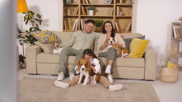 happy girl sitting on the floor in living room and cuddling cute puppy