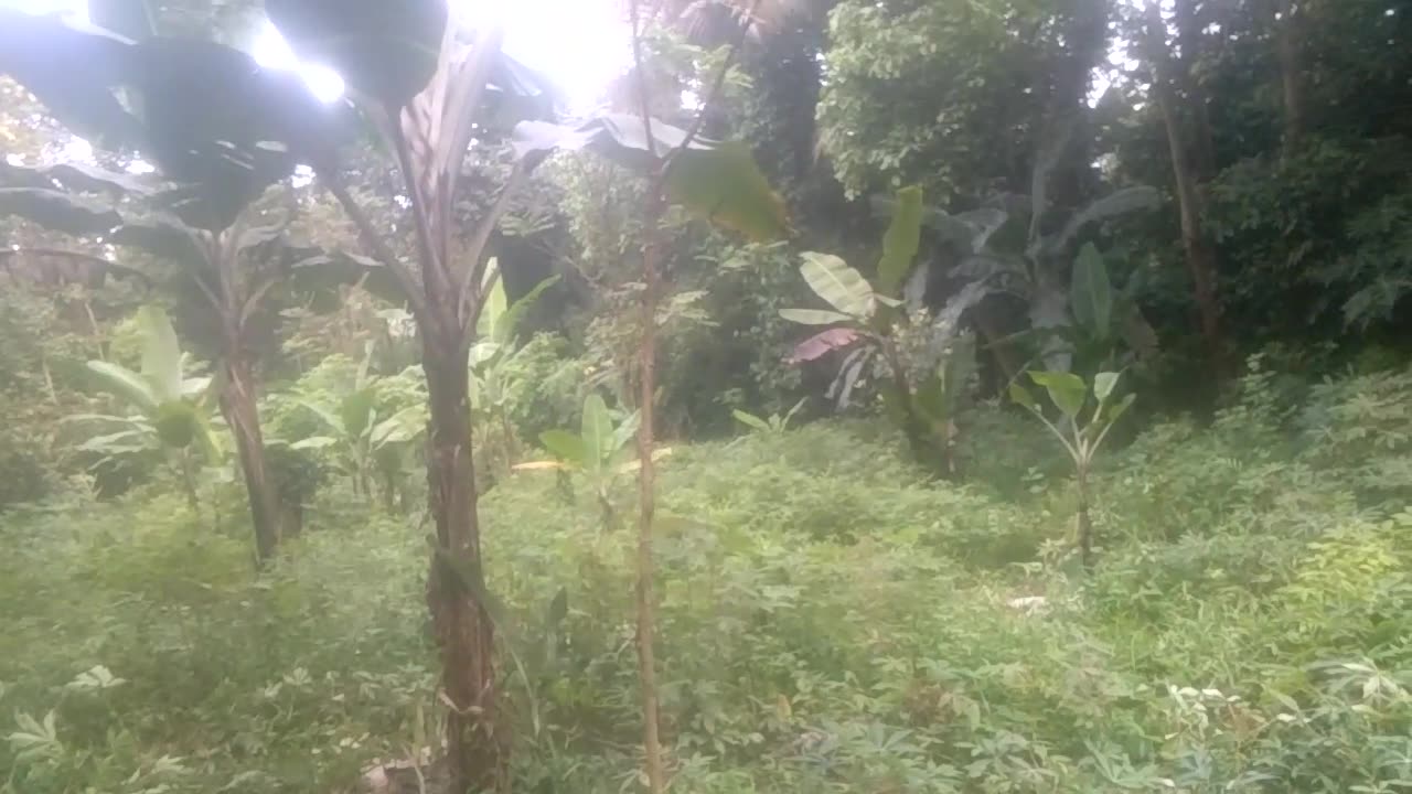 Berkebun dengan semangat.. Biar tambah hijau dan sejuk