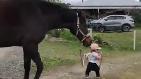 Little girls leads horse