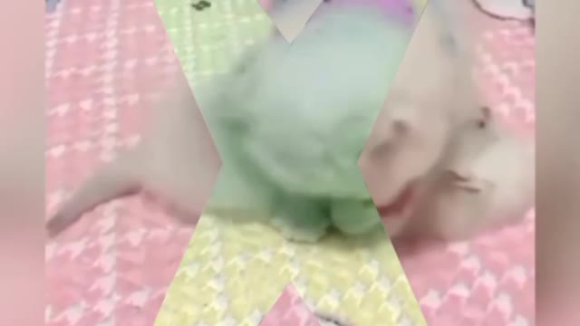 cute cat lover ❤️