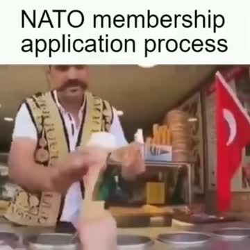NATO application process