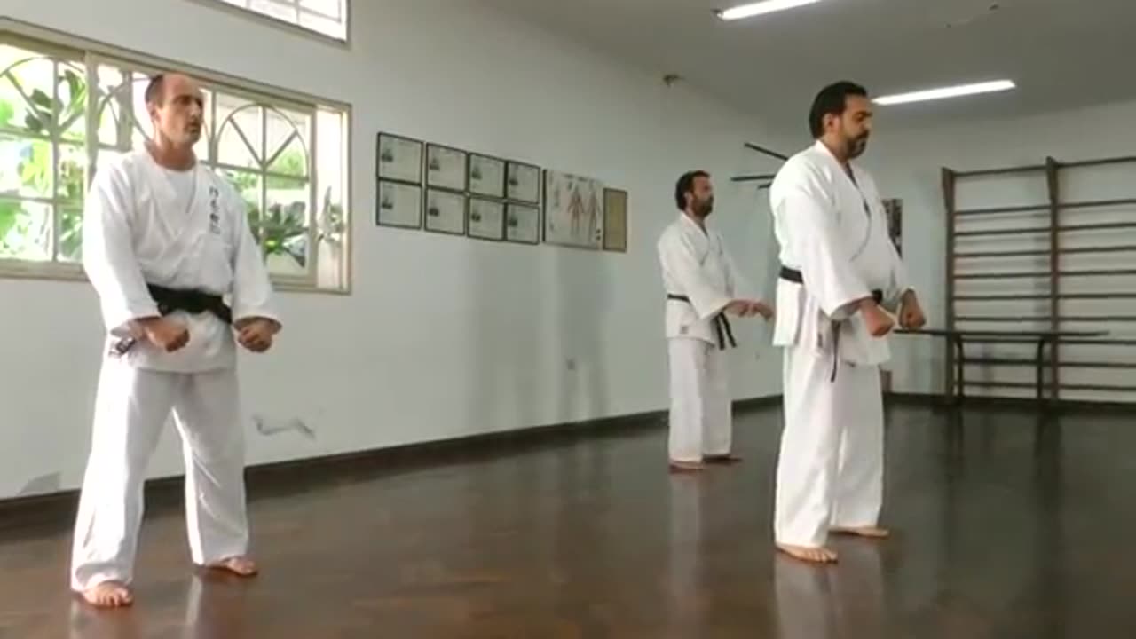 Shorin Ryu Karate