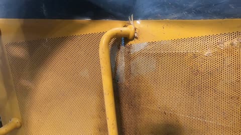 Damaged Motor Grader