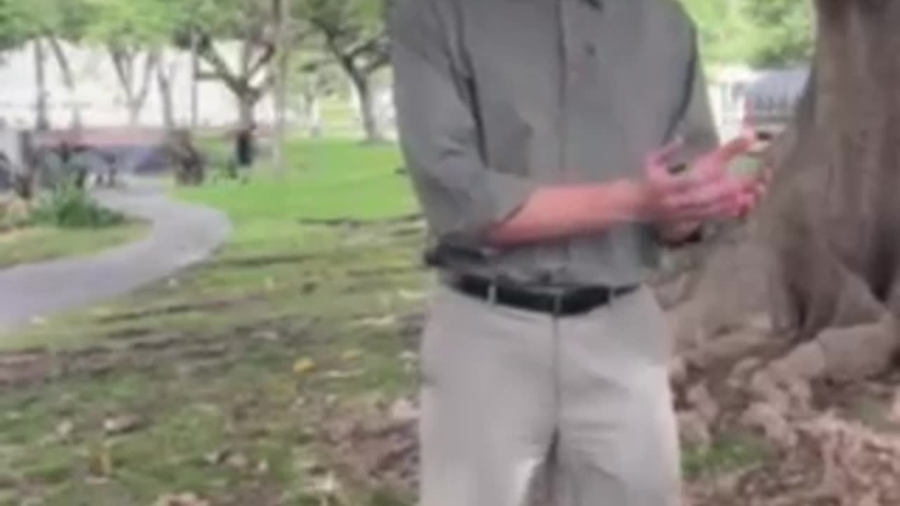 Homelessness in Hawaii