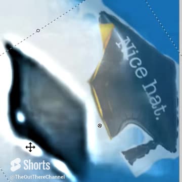 Pilot object in the sky was just a graduation cap balloon tassle worth the hassle