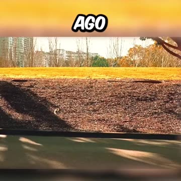 5 facts about different JDM Cars