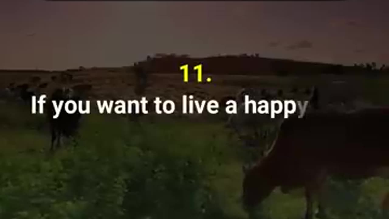 Motivational Quotes